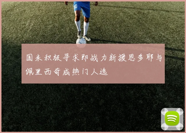 国米积极寻求即战力新援恩多耶与佩里西奇成热门人选