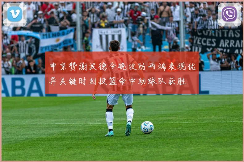 申京赞谢泼德今晚攻防两端表现优异关键时刻投篮命中助球队获胜
