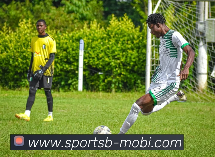 App Interface Preview