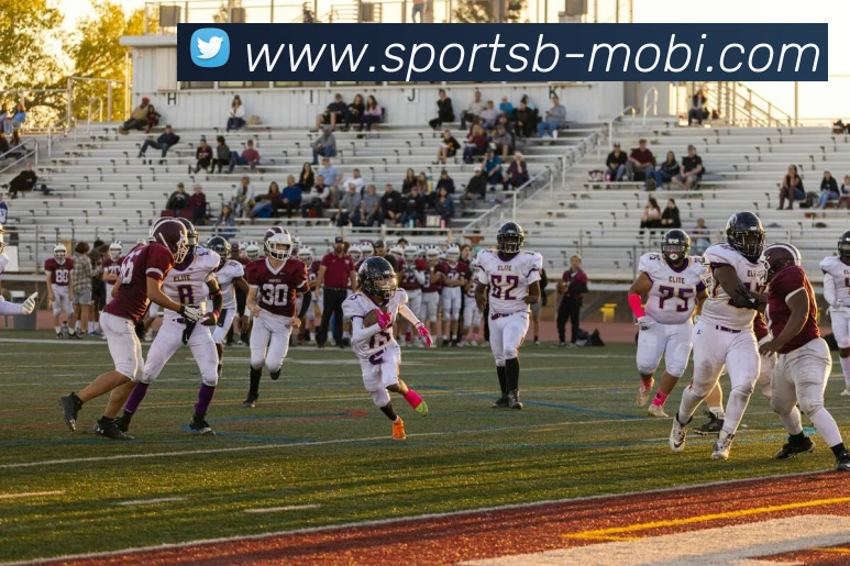 B体育APP 封面图